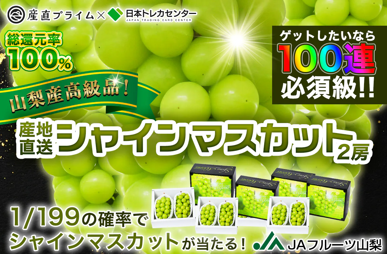 ゲットしたいなら100連必須級！！ 山梨最高級品！！産地直送 シャインマスカット（2房）
