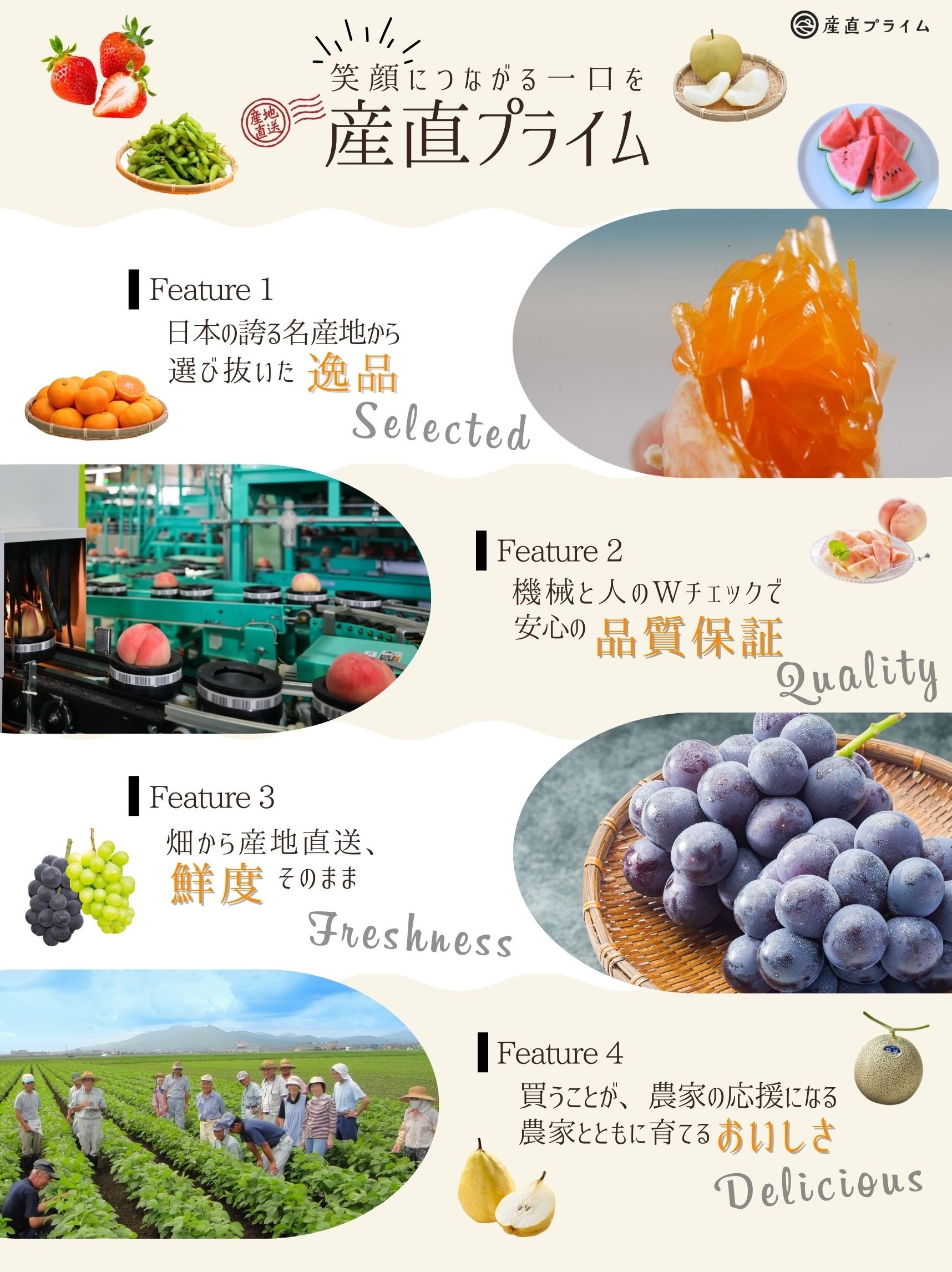 一口で広がる極上の甘み 幻の桃ついに解禁！ 産地直送 黄金桃 1/10