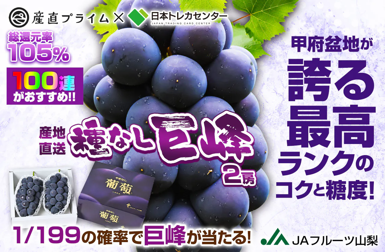 100連がおすすめ！！産地直送！甲府盆地が誇る最高ランクのコクと糖度！種無し巨峰 (2房)