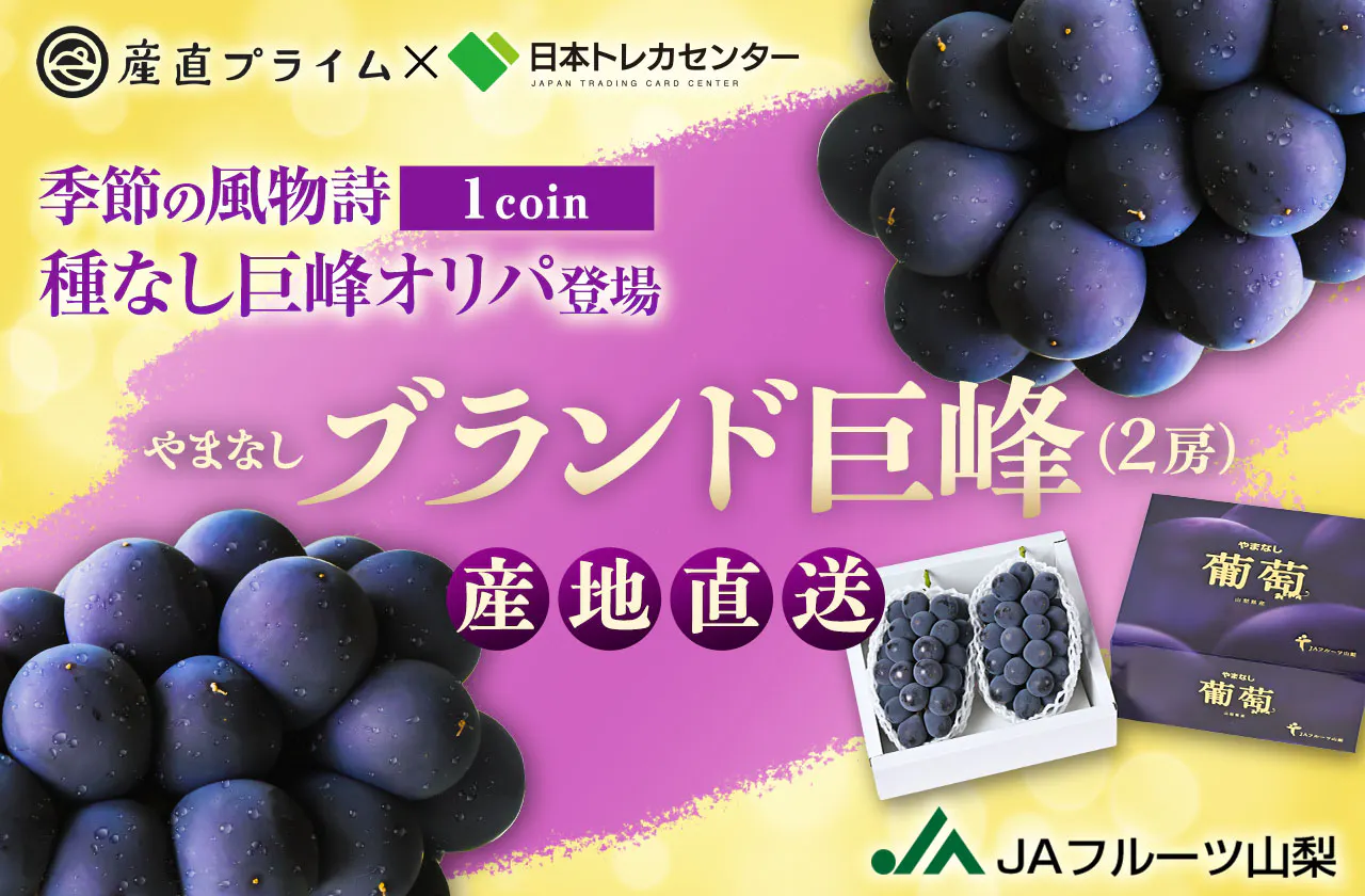 産地直送！！1coin種無し巨峰オリパ登場 季節の風物詩 ブランド巨峰（2房）