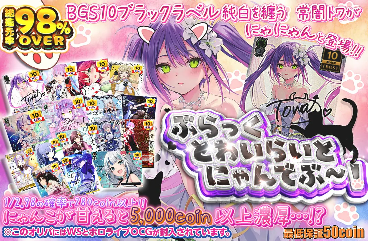 ぶらっく・とわいらいと・にゃんでぶ～！		