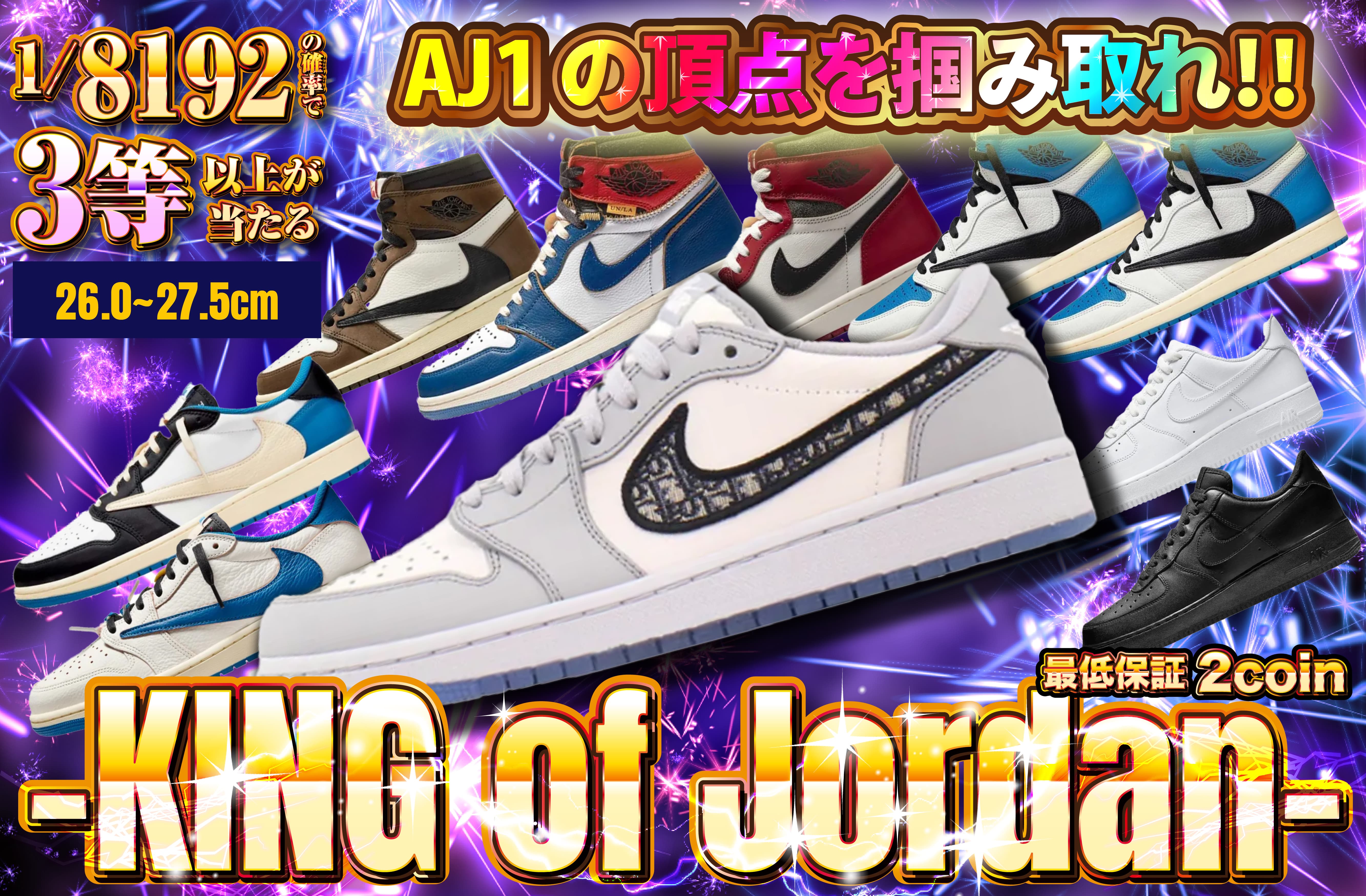 26.0∼27.5cm】-KING of Jordan- AJ1 の頂点を掴み取れ！！ | 日本