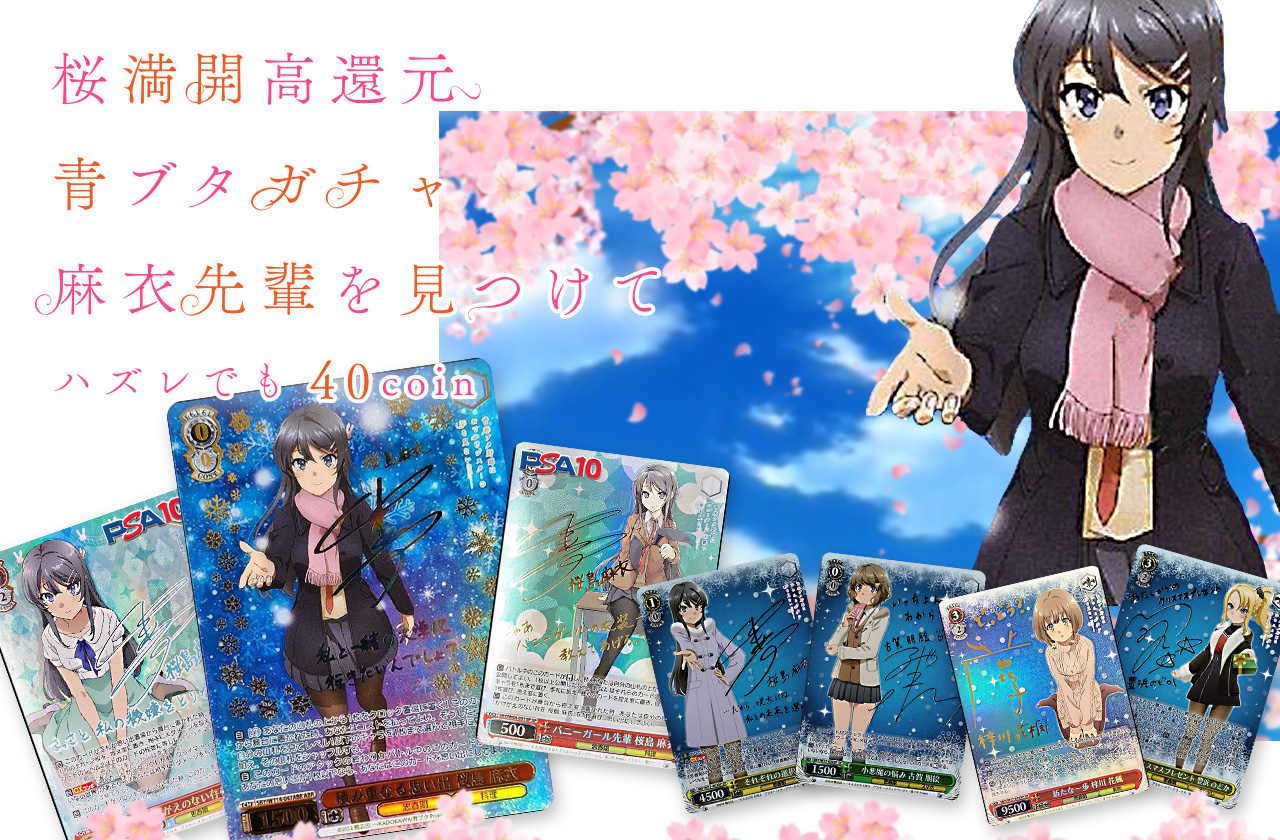桜満開高還元青ブタガチャ！麻衣先輩を見つけて | 日本トレカセンター