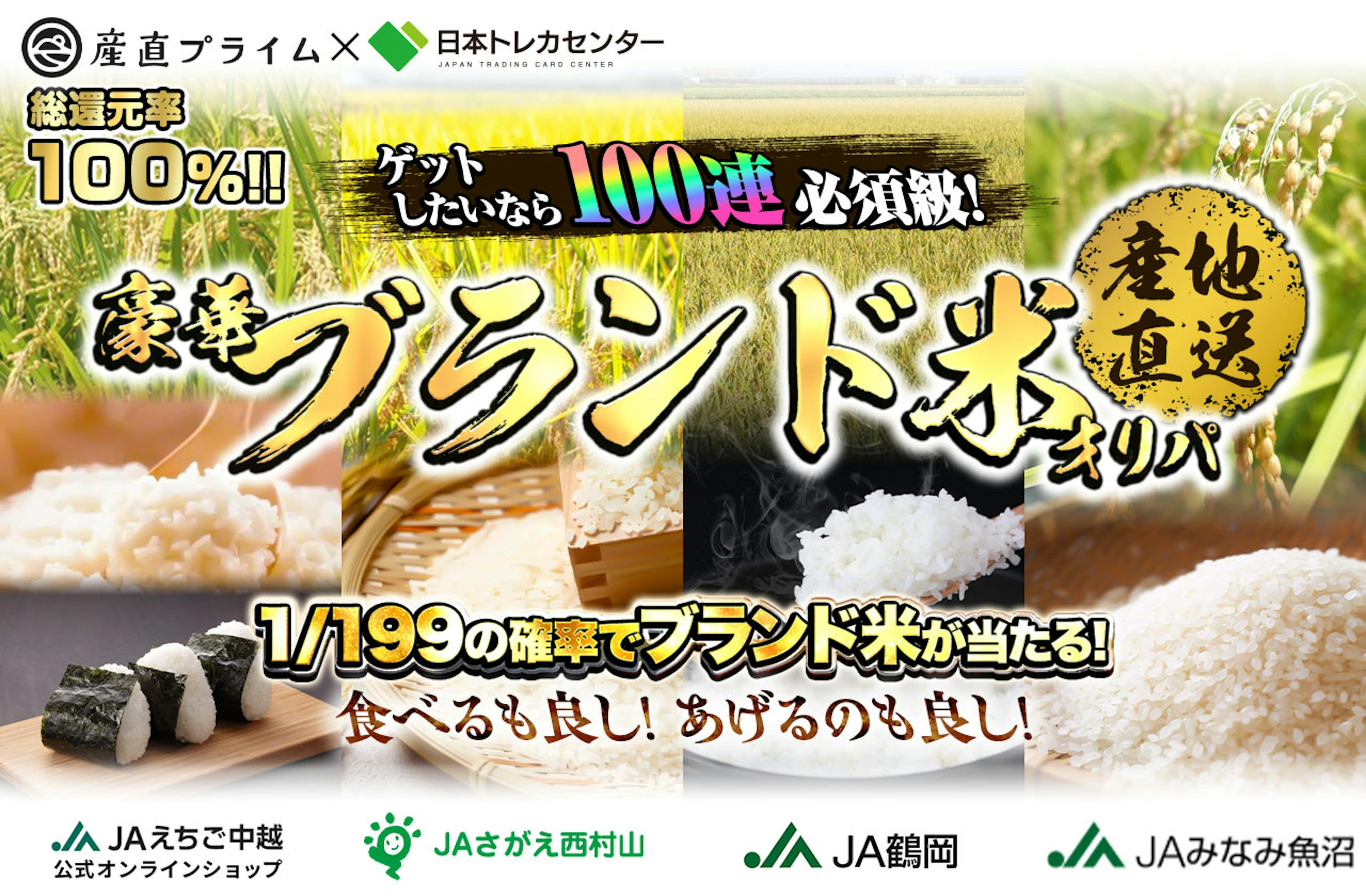 ゲットしたいなら100連必須級！！食べるのも良し！あげるのも良し！ 産地直送！豪華ブランド米オリパ | ポケカのネットオリパなら日本トレカセンター